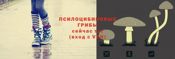 сатива Алексин