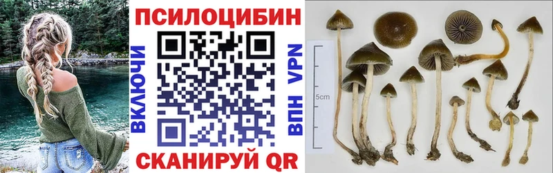 Галлюциногенные грибы прущие грибы  Купить закладки  Тимашёвск 